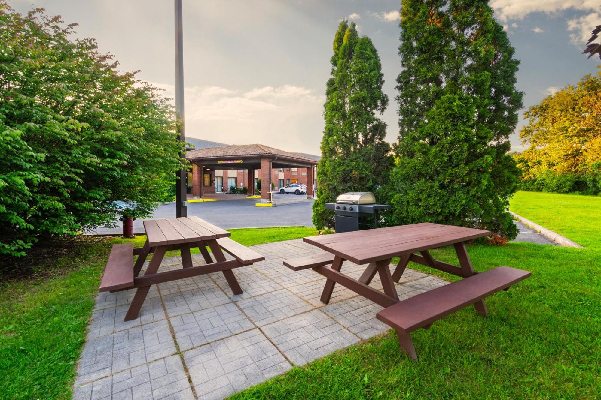 Comfort Inn Hwy 401 Kingston Exterior photo